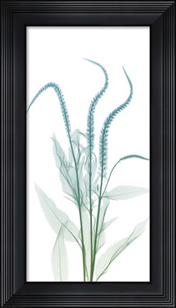 Framed Serene Flourish 2 Print