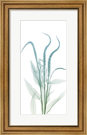 Framed Serene Flourish 2 Print