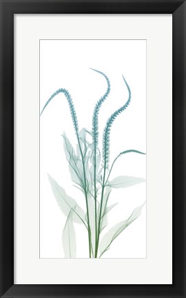 Framed Serene Flourish 2 Print