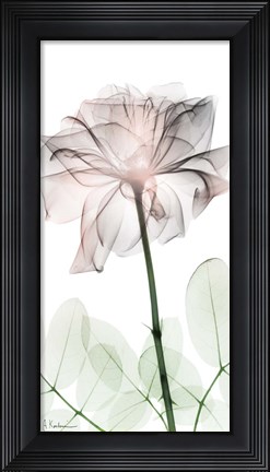 Framed Loving Rose 2 Print