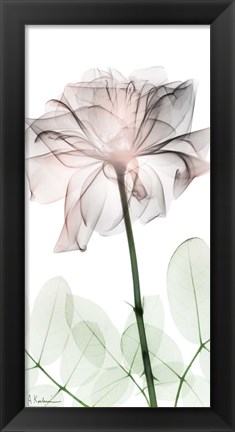 Framed Loving Rose 2 Print