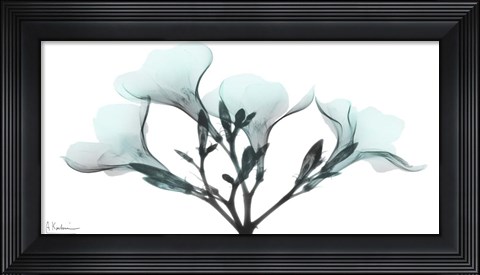 Framed Oleander Mist 1 Print