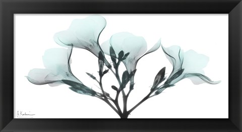 Framed Oleander Mist 1 Print