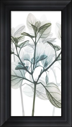 Framed Sea Breeze Pleasures 1 Print