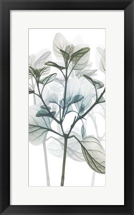 Framed Sea Breeze Pleasures 1 Print