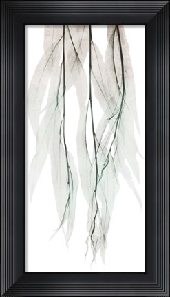 Framed Seashore Growth 1 Print