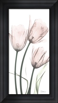 Framed Strawberry Infused Tulips Print
