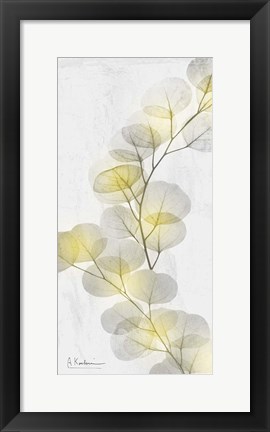 Framed Eucalyptus Sunshine 2 Print