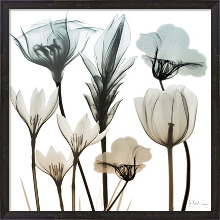 Framed Sandy Floral Cluster 1 Print