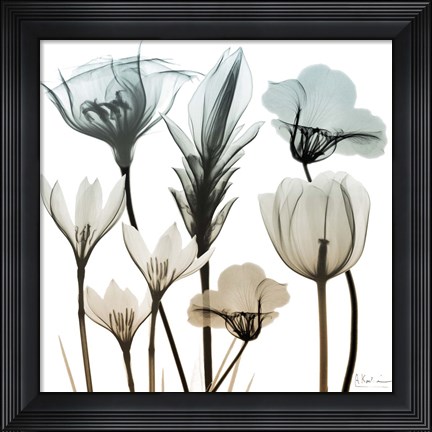 Framed Sandy Floral Cluster 1 Print