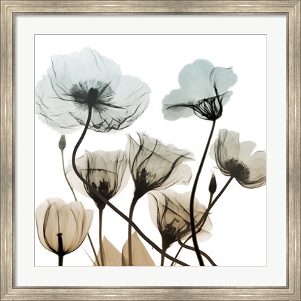 Framed Sandy Floral Cluster 2 Print