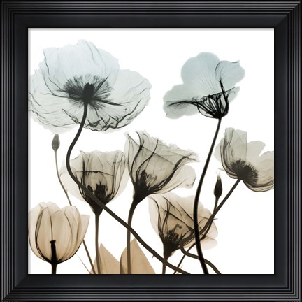 Framed Sandy Floral Cluster 2 Print
