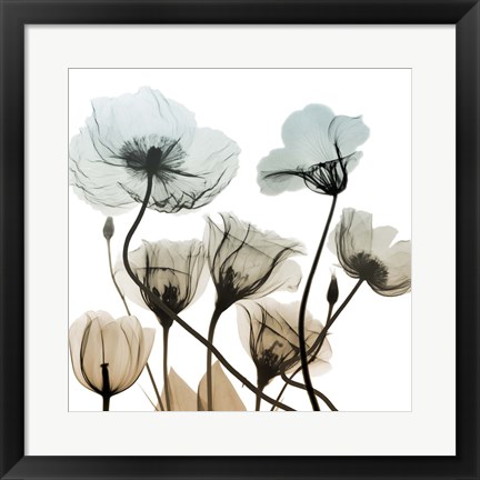 Framed Sandy Floral Cluster 2 Print