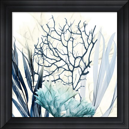 Framed Ocean Floor Life 1 Print