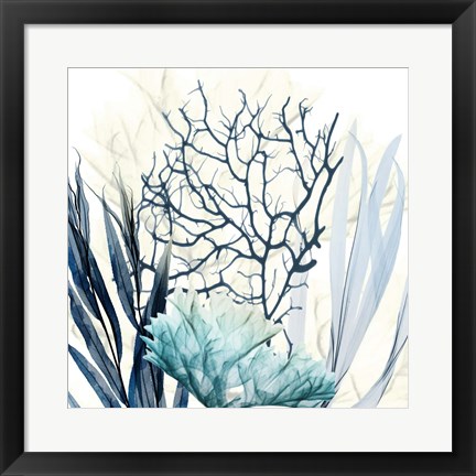 Framed Ocean Floor Life 1 Print