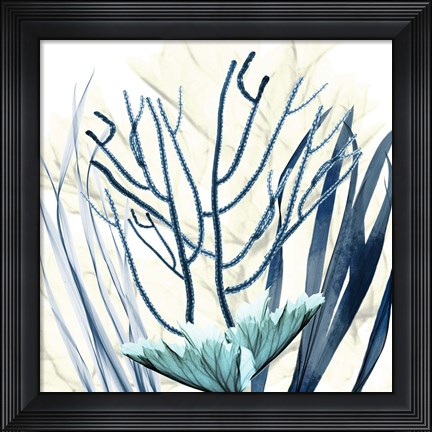 Framed Ocean Floor Life 2 Print