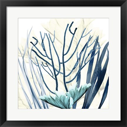 Framed Ocean Floor Life 2 Print