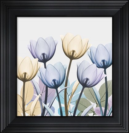 Framed Tulip Collage 1 Print