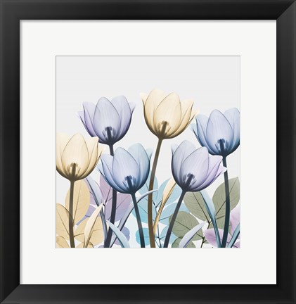Framed Tulip Collage 1 Print