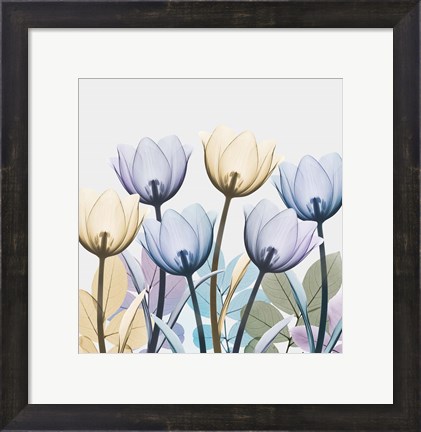 Framed Tulip Collage 1 Print