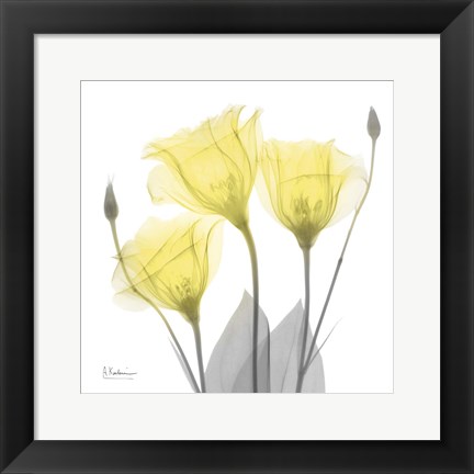 Framed Brilliant Gentian Buddies 1 Print