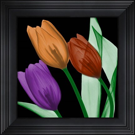 Framed Jeweled Tulips 4 Print