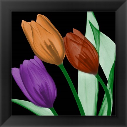 Framed Jeweled Tulips 4 Print