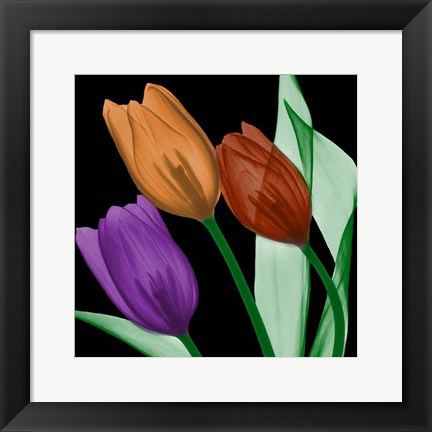 Framed Jeweled Tulips 4 Print