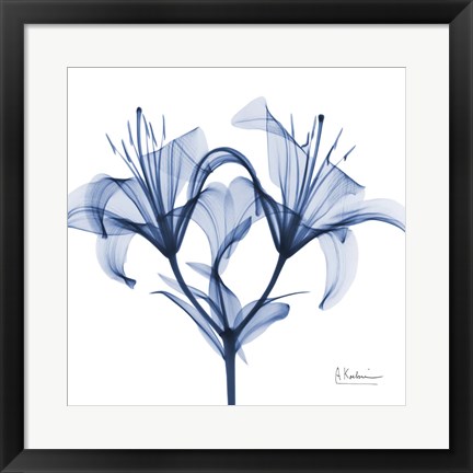 Framed Indigo Lily Print