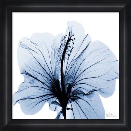 Framed Indigo Hibiscus Print