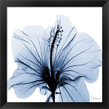 Framed Indigo Hibiscus Print