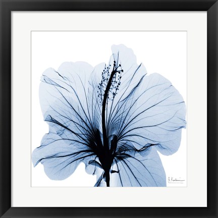 Framed Indigo Hibiscus Print