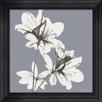 Framed Splendid Neutral Beauty 1 Print