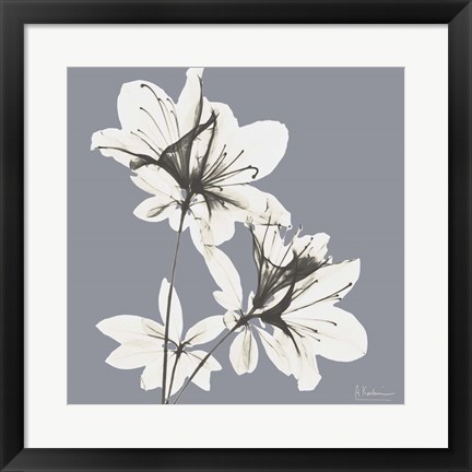 Framed Splendid Neutral Beauty 1 Print