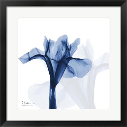 Framed Indigo Infused Iris Print