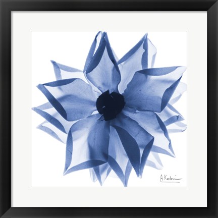 Framed Indigo Rose Petals 1 Print