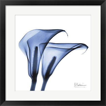 Framed Indigo Infused Calla Lilies Print