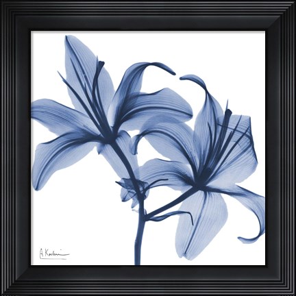 Framed Indigo Infused Lily Print