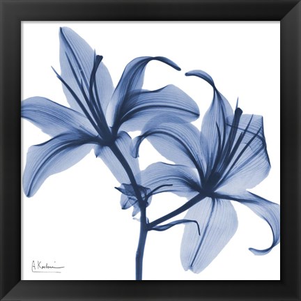 Framed Indigo Infused Lily Print