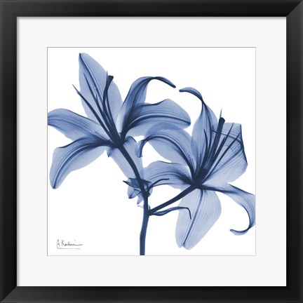 Framed Indigo Infused Lily Print