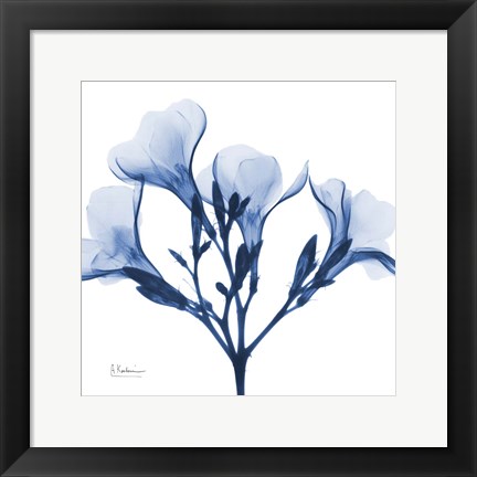 Framed Indigo Oleander Print