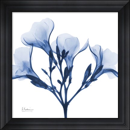 Framed Indigo Oleander Print
