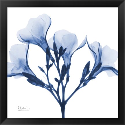 Framed Indigo Oleander Print