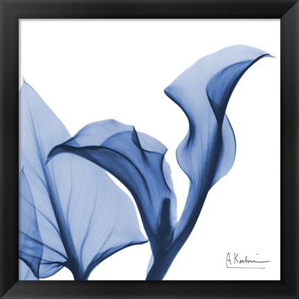 Framed Indigo Calla Love Print