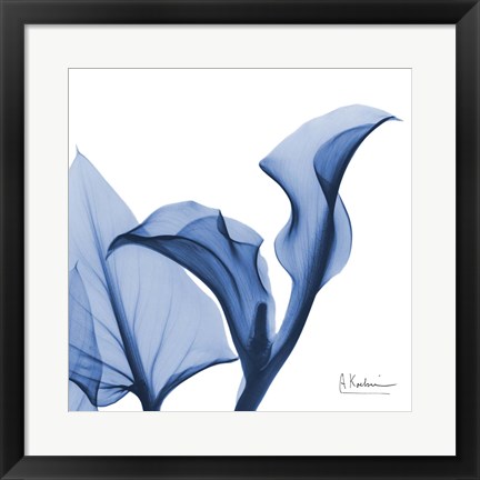 Framed Indigo Calla Love Print