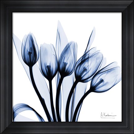 Framed Marvelous Indigo Tulips Print