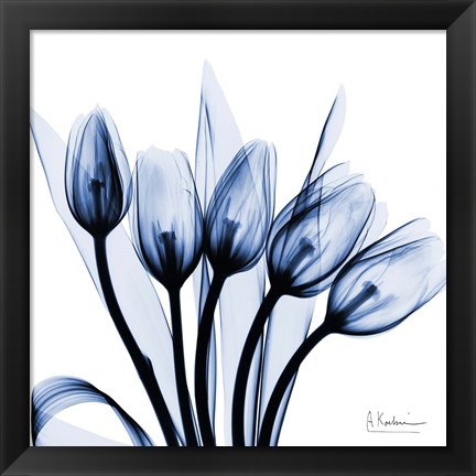 Framed Marvelous Indigo Tulips Print