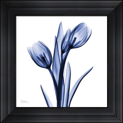 Framed Enchanted Indigo Tulips Print