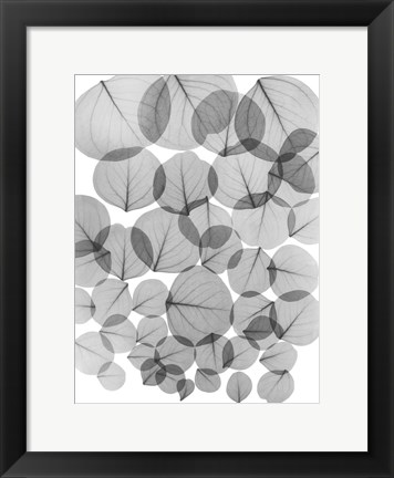 Framed Baybean Leaves Print