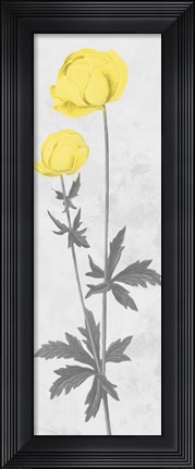 Framed Shinning Bloom Print